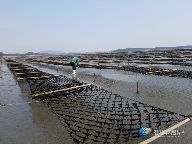 탄소 잡는 ‘검은 반도체’ 저감량 밝힌다