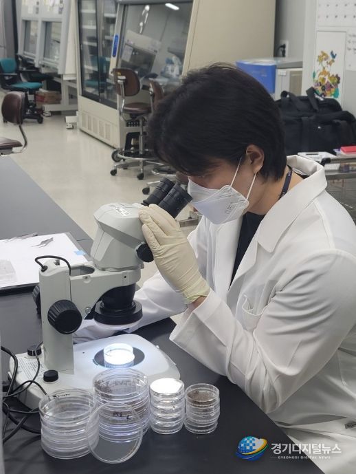 경기도, 일본뇌염·뎅기열 매개모기 감시사업 추진