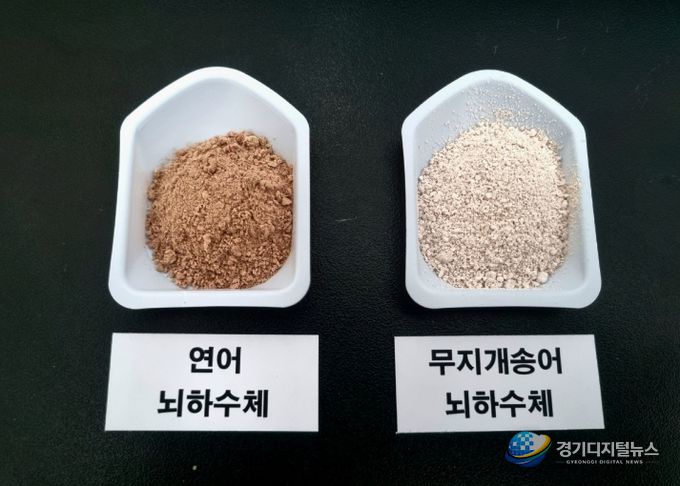 민물장어 인공종자 생산 연구