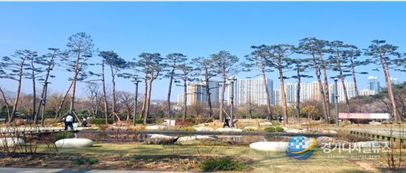 2024. 남구 평화공원(유엔평화의 숲) 기후대응 도시숲 조성사업 완료사진