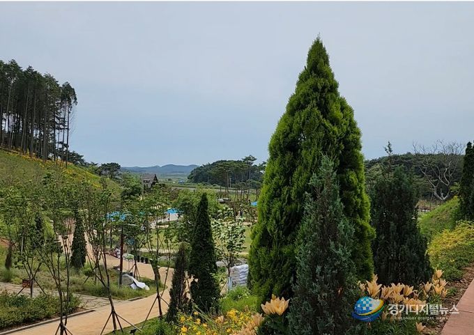 안면도 지방정원